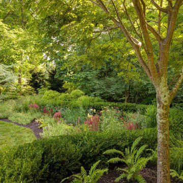 Matisse Garden