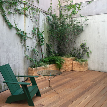 Carroll Gardens Duplex Landscapes