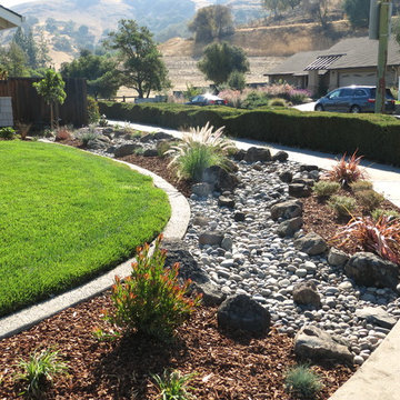 Front Yard Landscapes