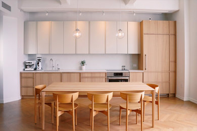 Kitchen - modern kitchen idea