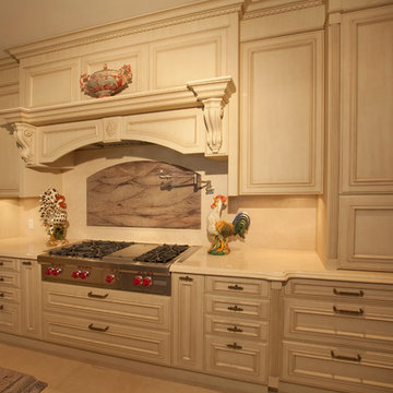 Neff kitchens Transitional design