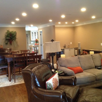 Kitchen & Living Room Renovation
