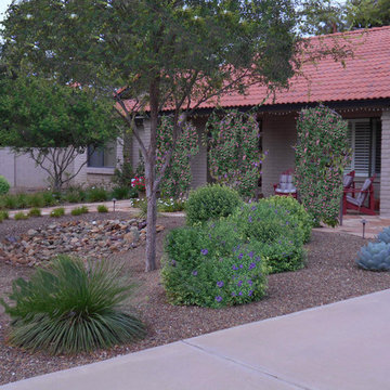 Ruellia, Agave parryi, and Trumpet Vine Screening Front Porch