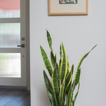 Scottsdale Mid-Century Mod