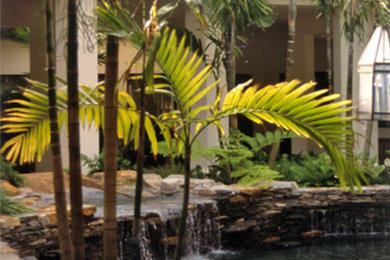 This is an example of a tropical landscaping in Miami.