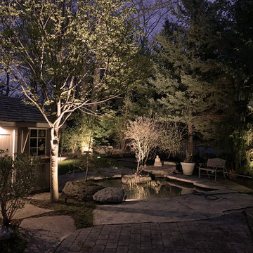 Back yard pond lighting in Mississauga