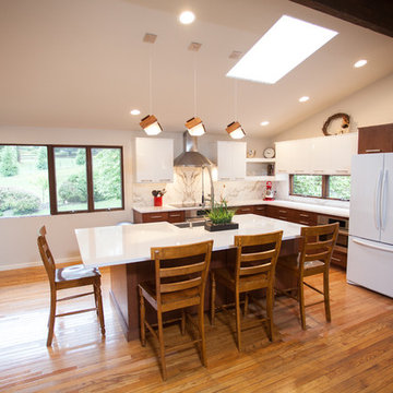 Contemporary Renovation