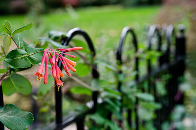 This is an example of a landscaping in Other.