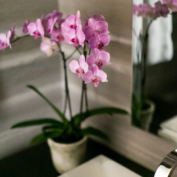 Design Details in Powder Room | Del Mar Inland Residence