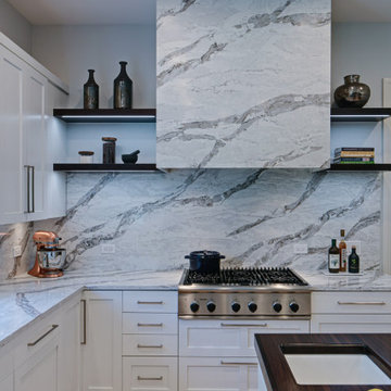 Bold Modern Kitchen - Highland Park, IL