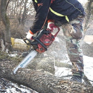 Winter Tree Cutting