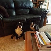 Anita Manring's photo
