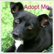 Tracy Kimler's photo