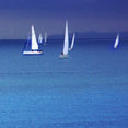 Foto di profilo di Raffaele Galligani
