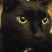 Heather Kaiser's photo