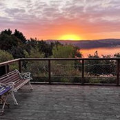 John Tracey's photo