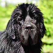 Deb Malone's photo