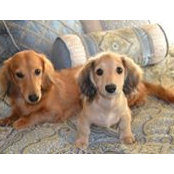 Amber Linkous's photo