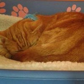 Watterson Hev's photo