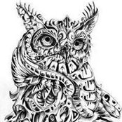 Sarah Geertsen's photo