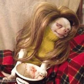 Alisa Nu's photo