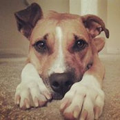 Patricia Valery's photo