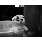 стас болтухинs foto
