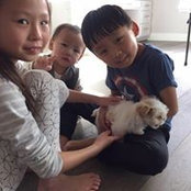 Vera Cha's photo