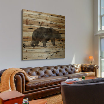 Bear Birch Bark