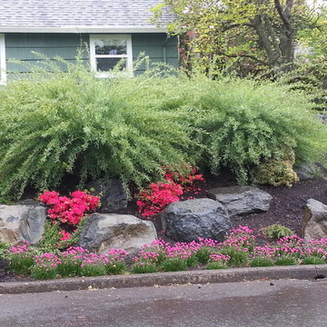 SW Rockery- dealing with a slope
