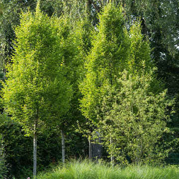 Familiengarten