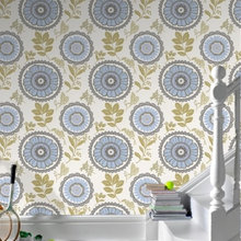 Paint and Wallpaper