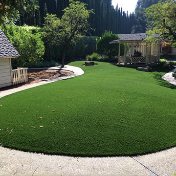 Traditional Backyard Renovation