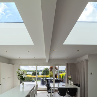 コークの中サイズのコンテンポラリースタイルのLDKの画像 (白い壁、リノリウムの床、薪ストーブ、石材の暖炉まわり)