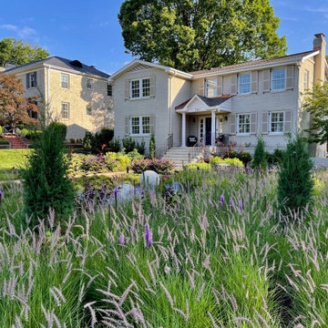 Front Meadow