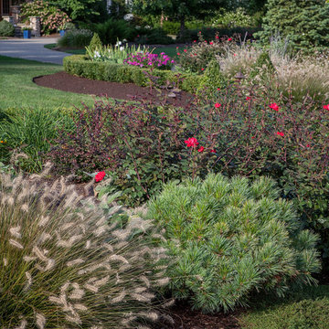 Softscapes and Gardens
