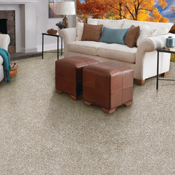 Tuftex Carpet - Flooring