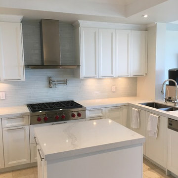 Toronto Contemporary Condo Remodel