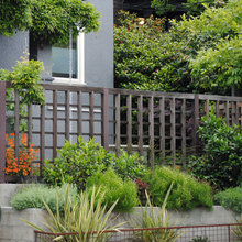 small front yards
