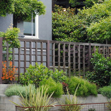 Berkeley Urban Patio Front Yard