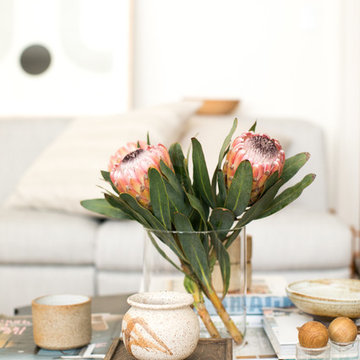 Mission Studio | Interior Design