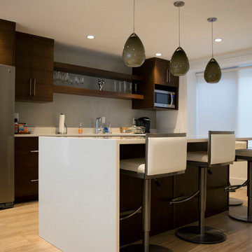 Boulder Basement Remodel