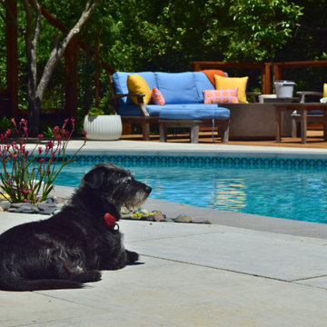 Backyard Pool Deck in San Rafael