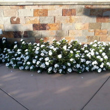 Outdoor space decorating/designing idea's and picture's