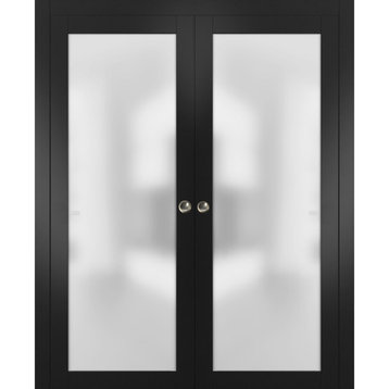 Double Pocket Door 60 x 80 Frosted Glass | Planum 2102 Black Matte | Frames
