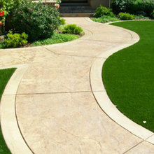 Front Garden/Driveway