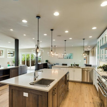 South Josephine Transitional/Industrial