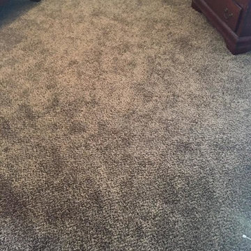 Complete Home Carpet Installation in Frisco, TX