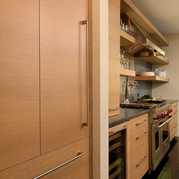 McLean, Virginia - Contemporary - Kitchen Design