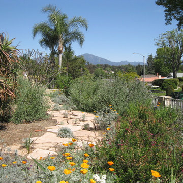 Secluded In Mission Viejo